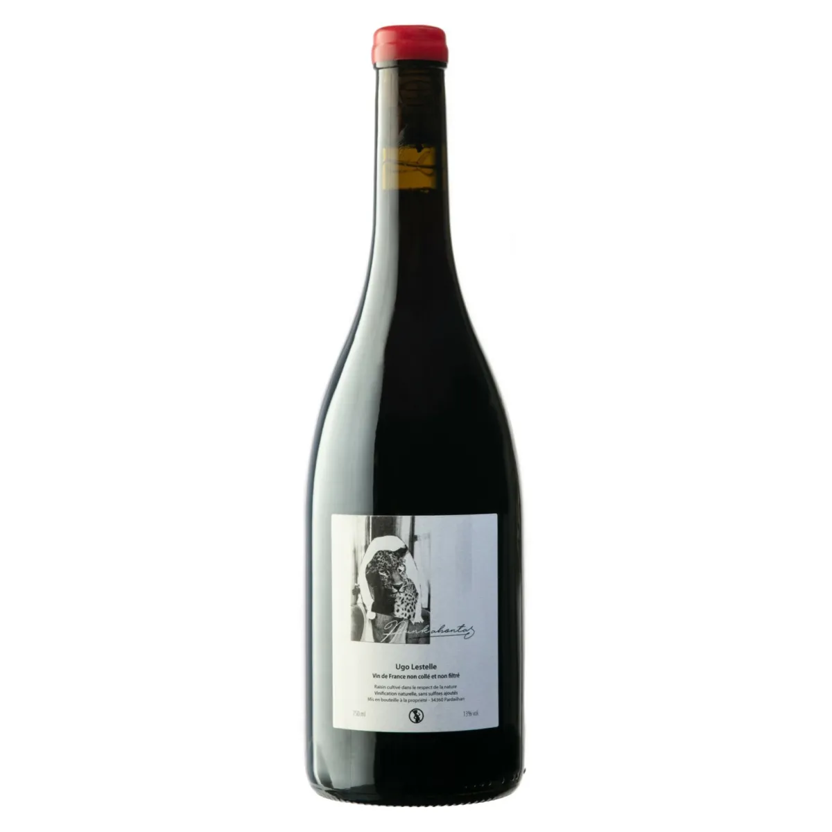 Punkahontas 2019 Vin de France