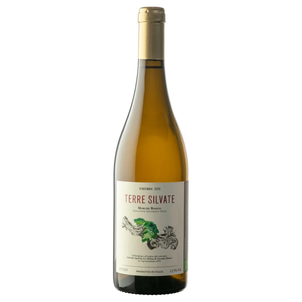 Terre Silvate 2024 Marche IGT