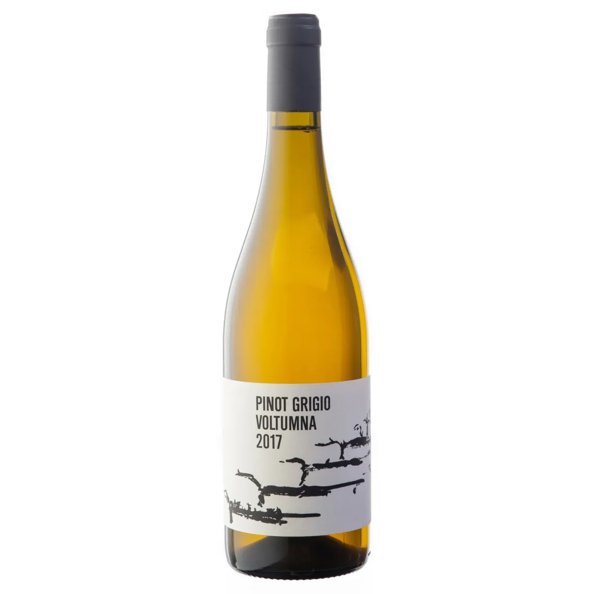 Pinot Grigio 2021 Toscana Bianco IGT