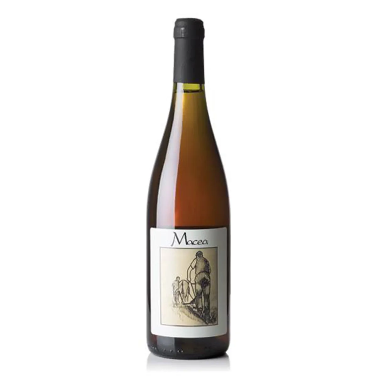 Pinot Grigio 2024 Toscana IGT