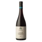 Langhe Nebbiolo 2023 DOC