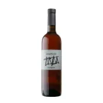 Sauvignon 2019 Venezia Giulia IGT