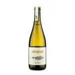 Indigeno 2021 Vino Bianco Frizzante