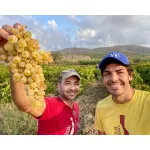 Blanc de Blancs Metodo Classico Brut Nature