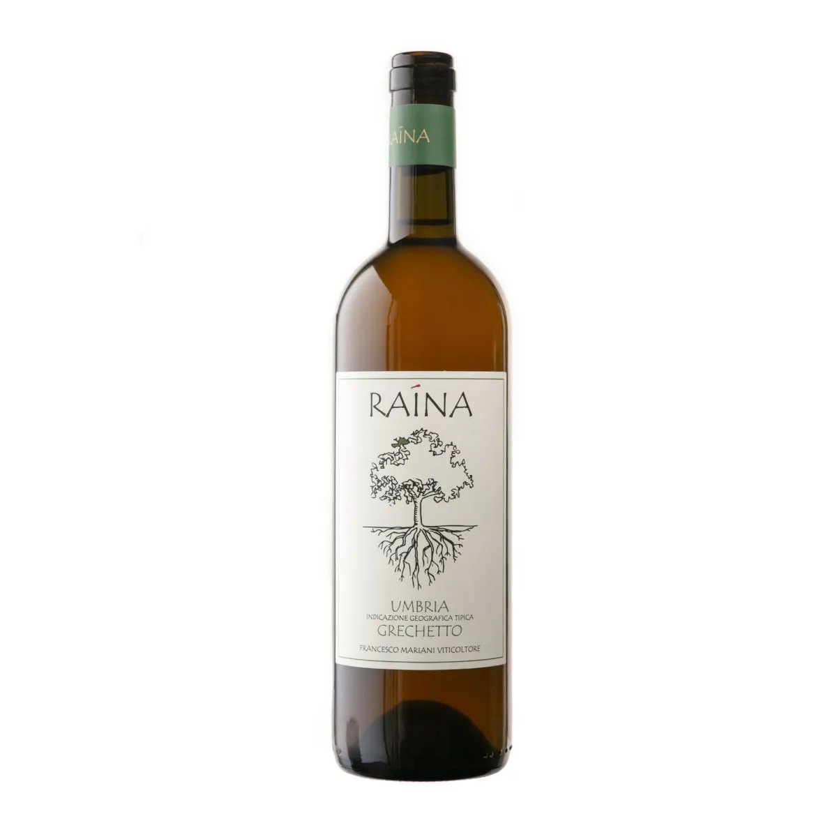 Grechetto 2024 Umbria IGT