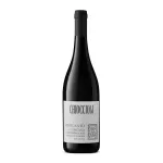 Pirocanto 2023 Toscana IGT