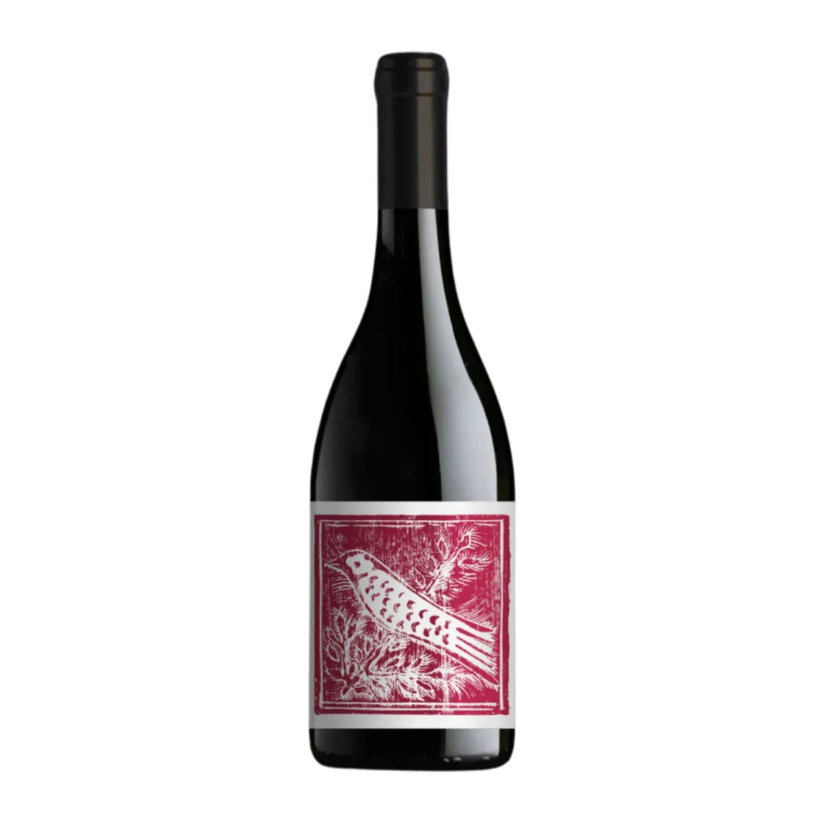Aliotti Pinot Nero 2023 Toscana IGT
