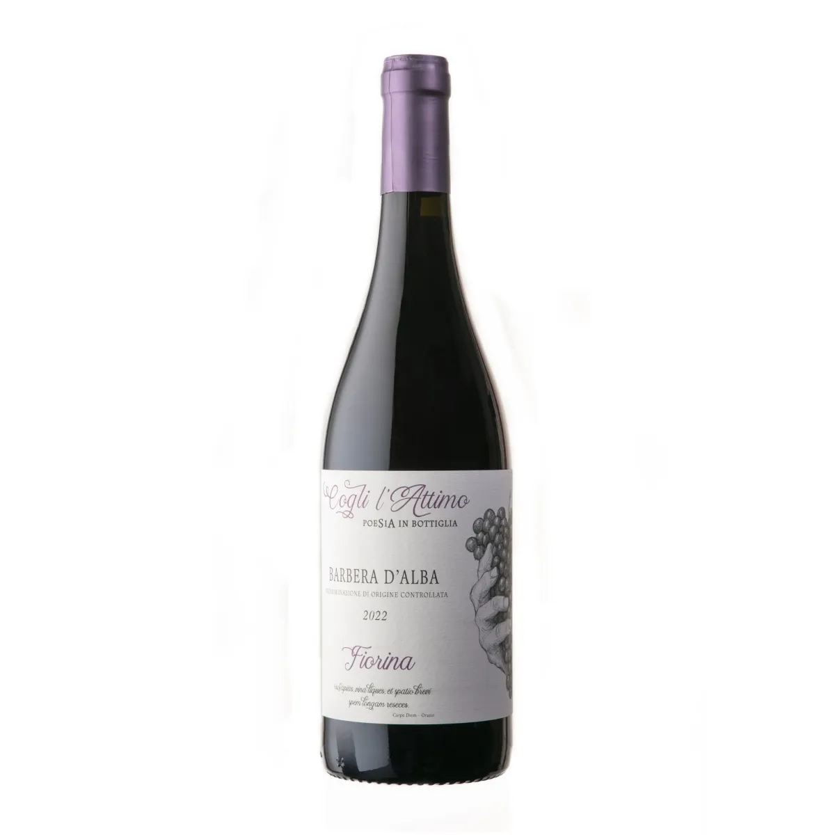 Fiorina Barbera D'Alba 2023 DOC