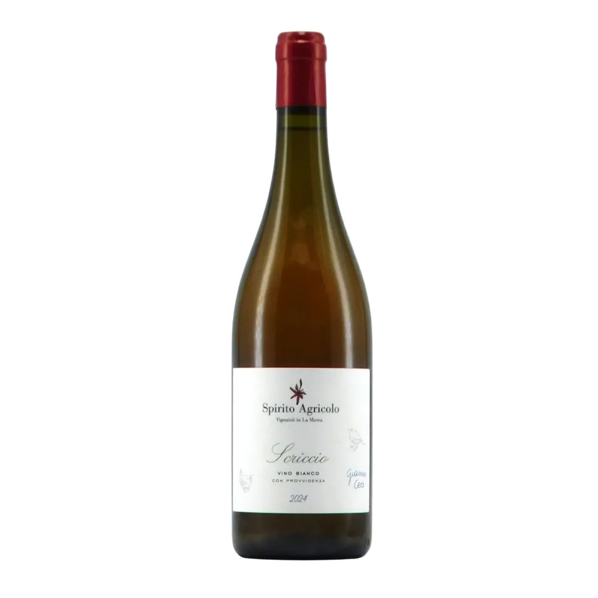 Scriccio Vino Bianco