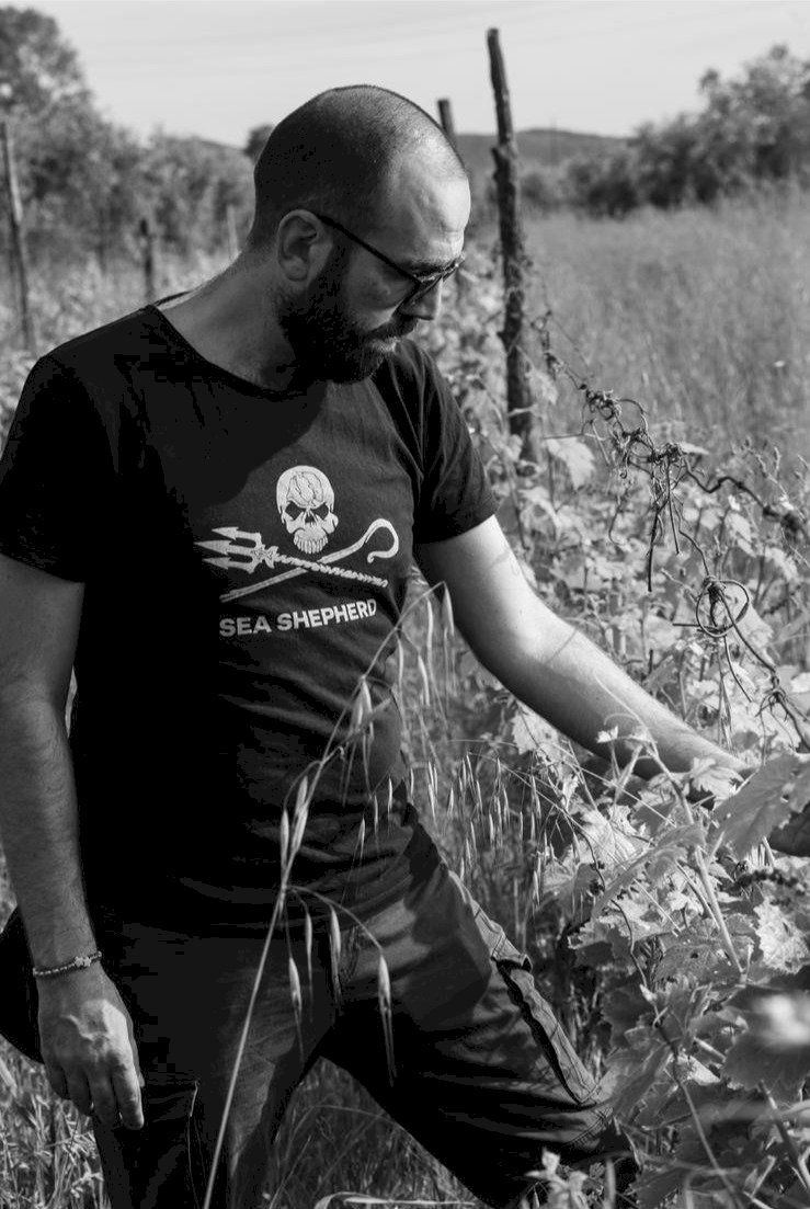 Il vignaiolo ostinato, la storia di Matteo Niccolai