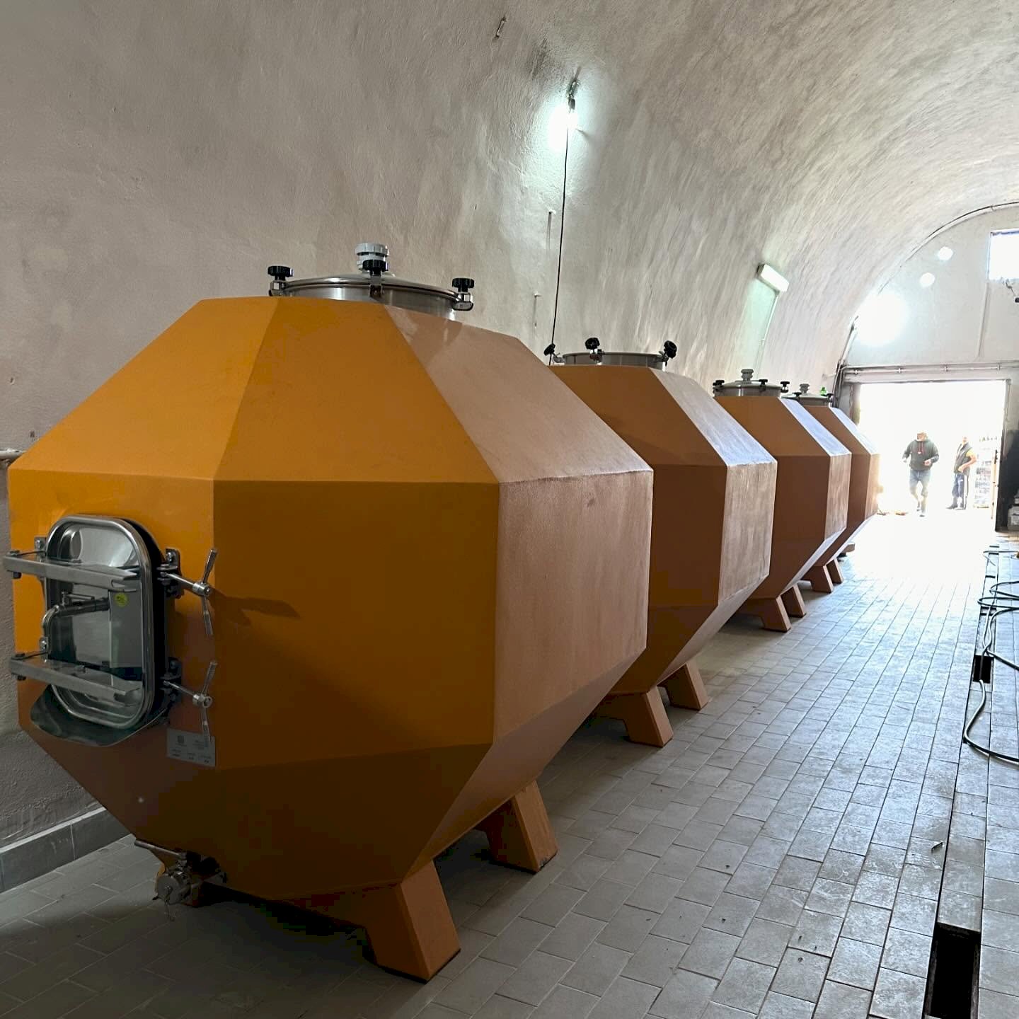 Oltre il mare| Intervista con Daniela Fabrizi, SEB Balaj Winery