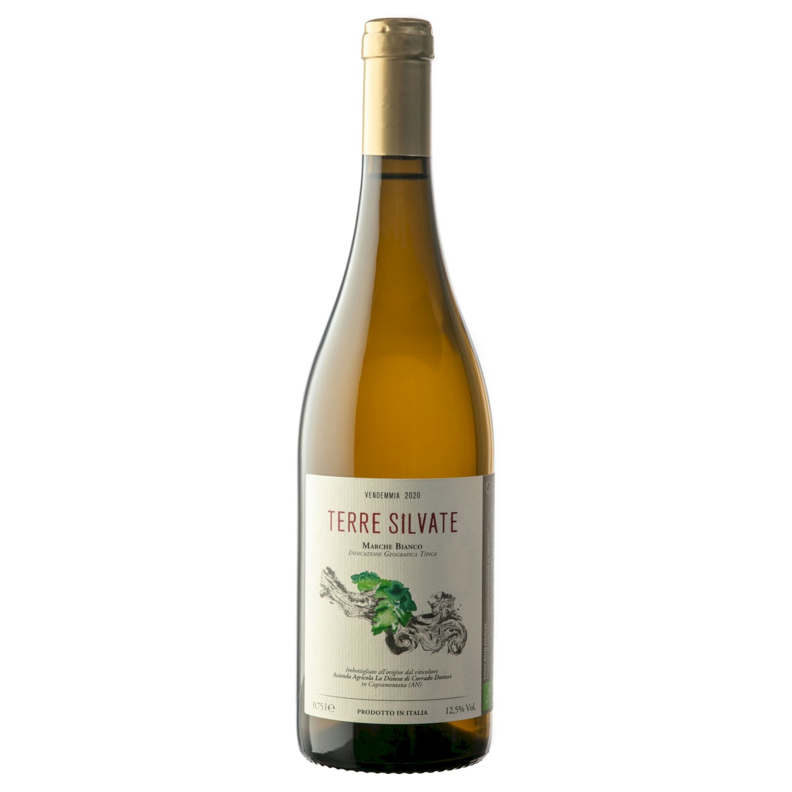 Terre Silvate 2024 Marche IGT