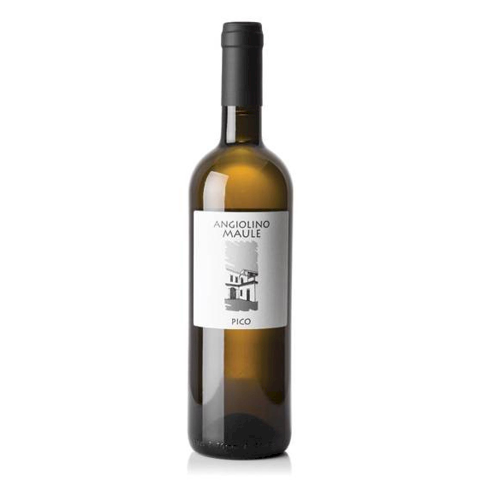 Pico 2022 Veneto IGT