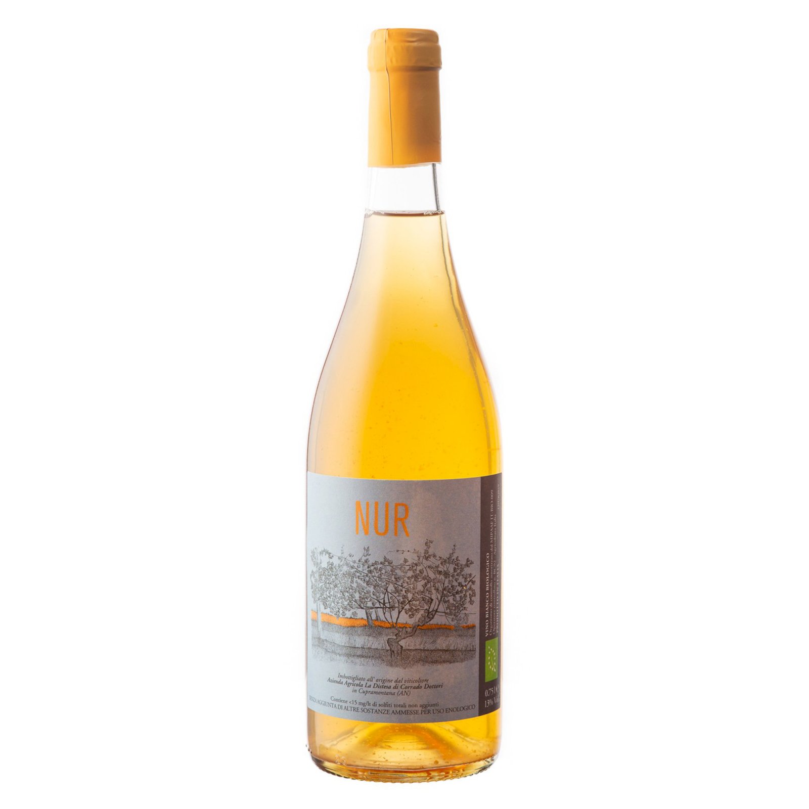 Nur Vino Bianco