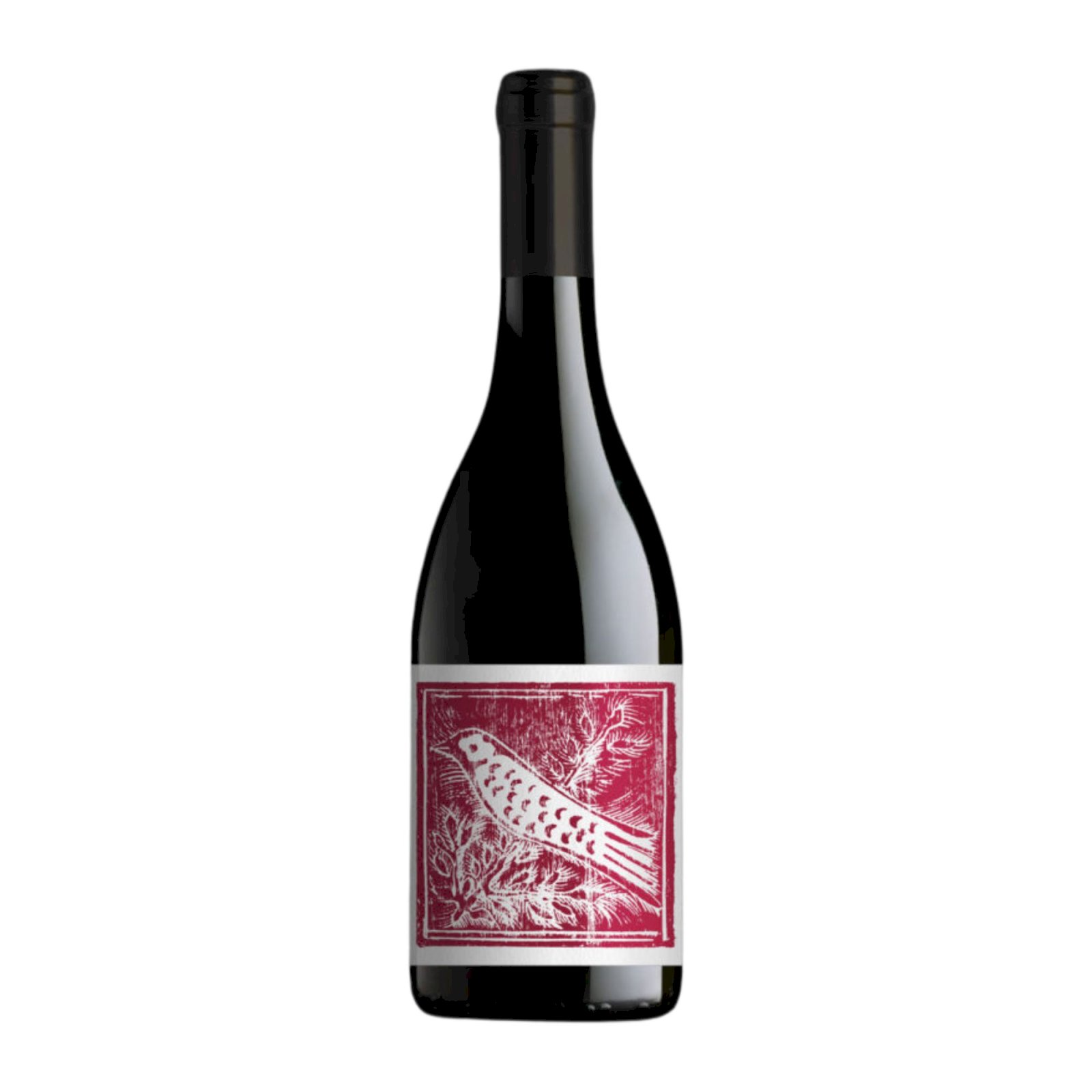 Aliotti Pinot Nero 2023 Toscana IGT