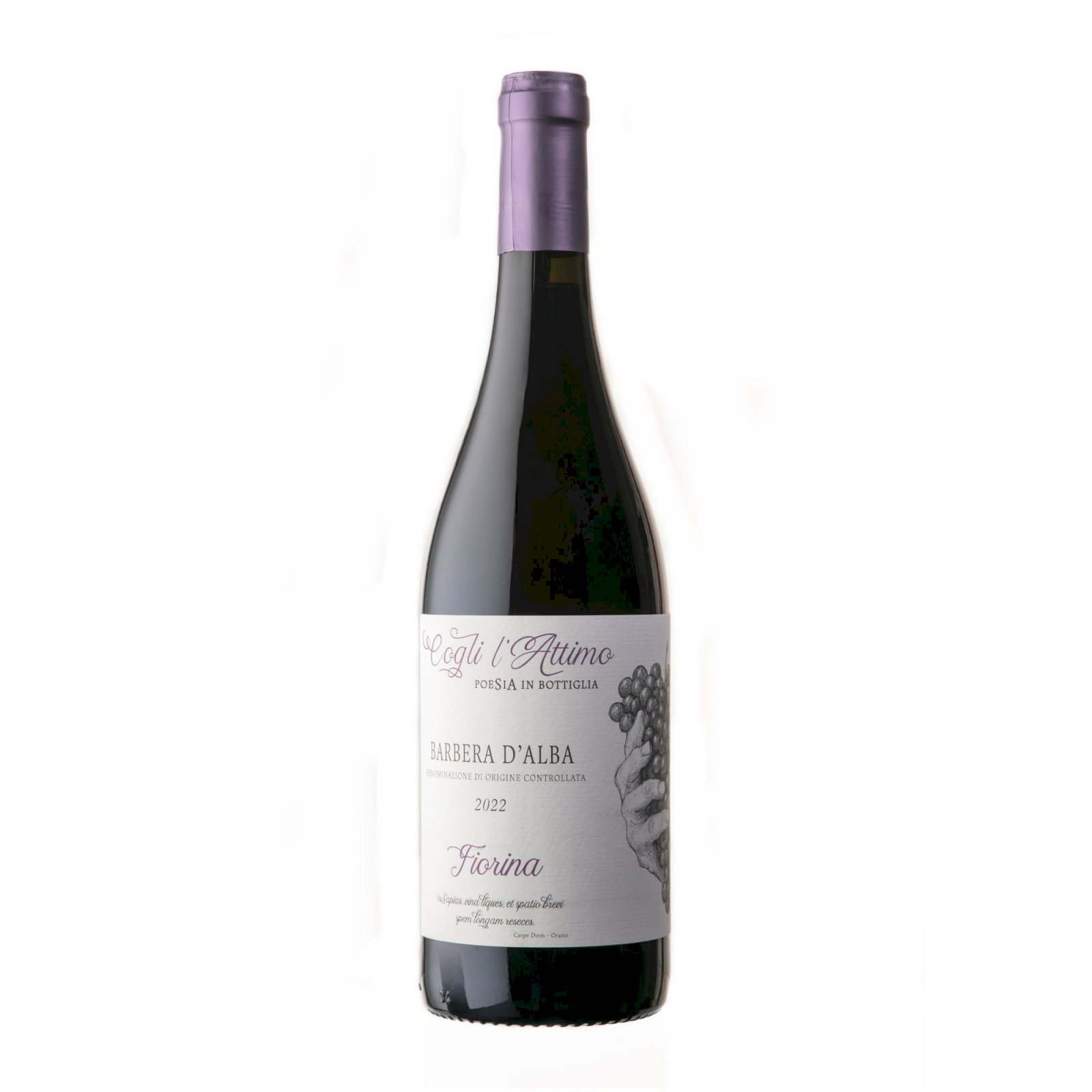 Fiorina Barbera D'Alba 2023 DOC