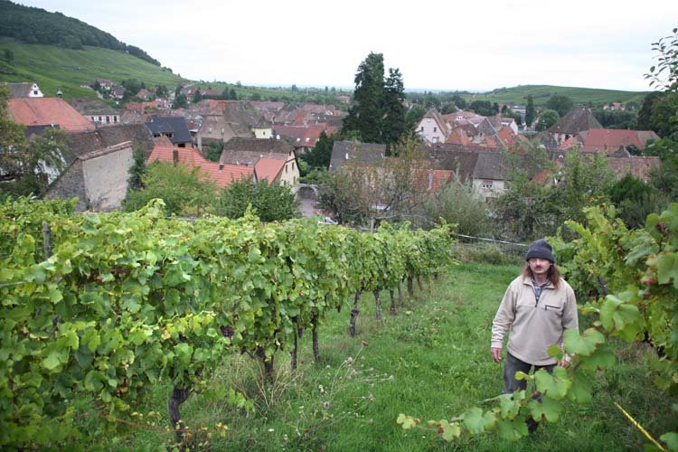 Cuvèe Nature Pur Jus 2021