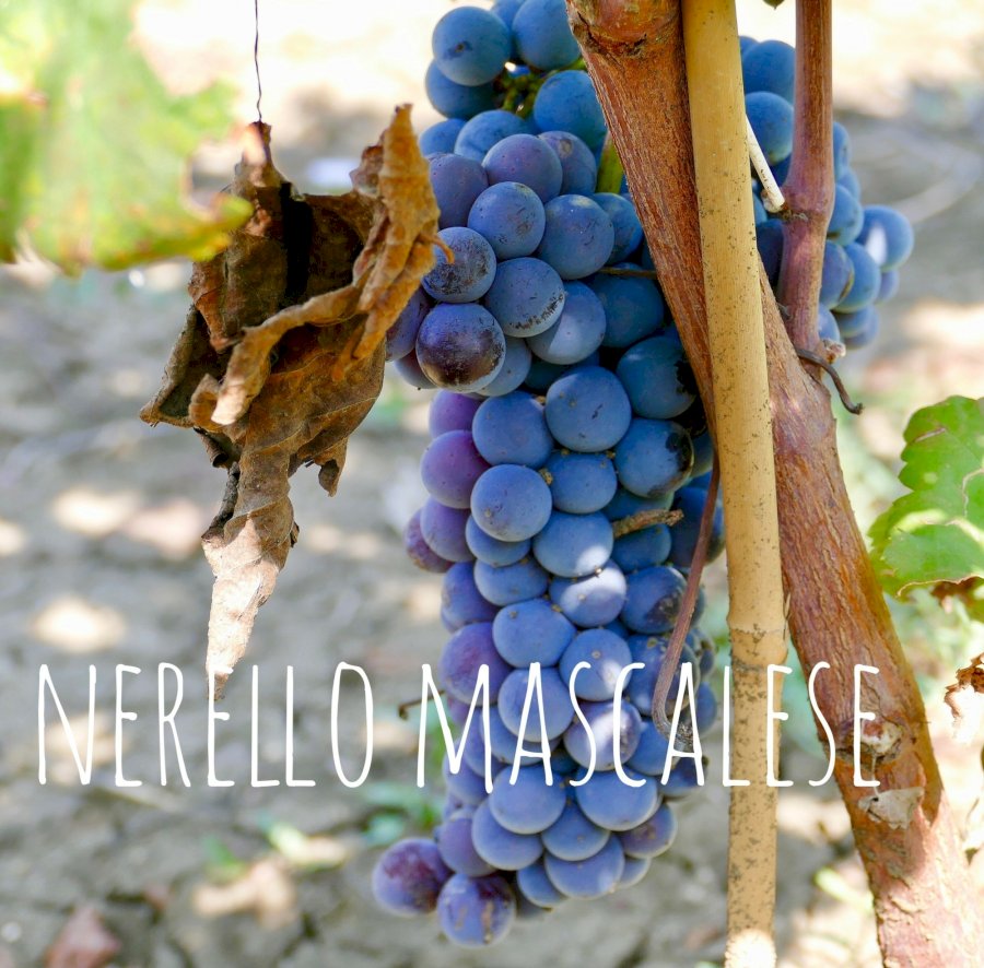 Rosso Glou Glou 2024 Terre Siciliane IGP