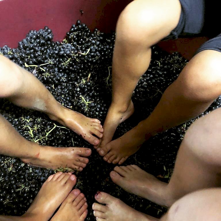 Sangiovese 2022 Toscana Rosso IGT