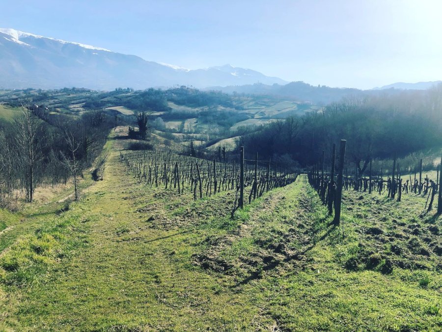 Una Al Giorno Vino Rosso