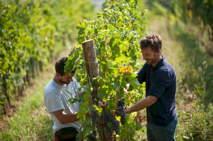 Spensierata Spumante Brut Franciacorta DOCG