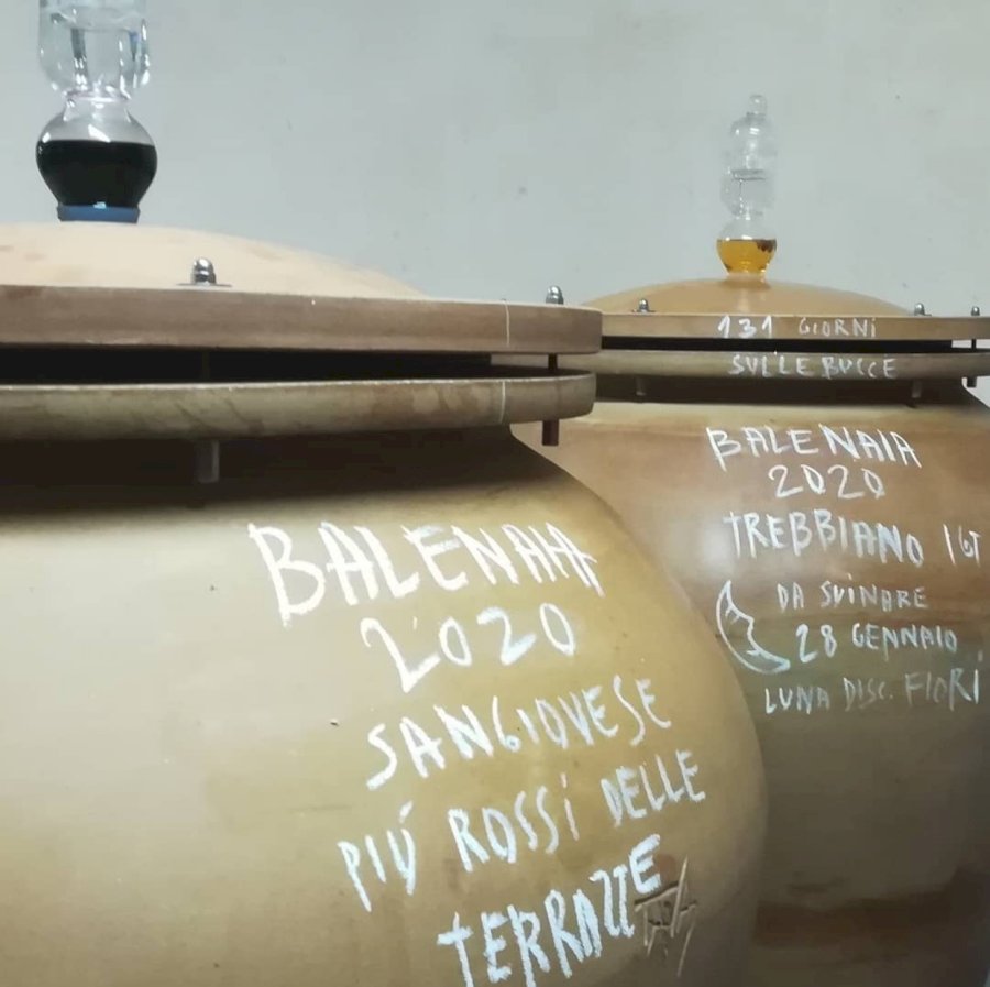 Balenaia Rosso 2023 Toscana IGT