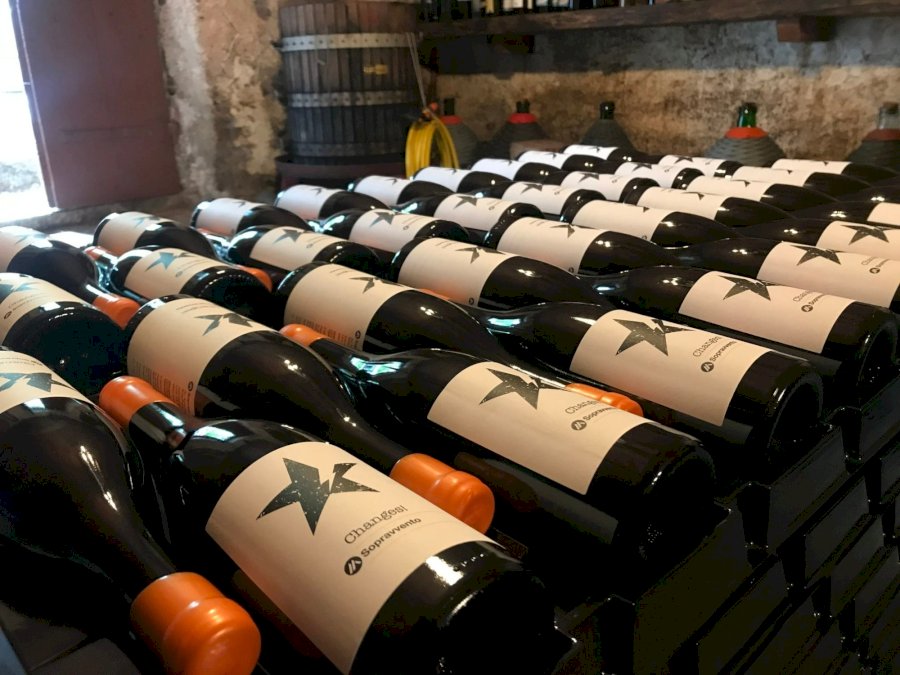 Changes! Vino Bianco