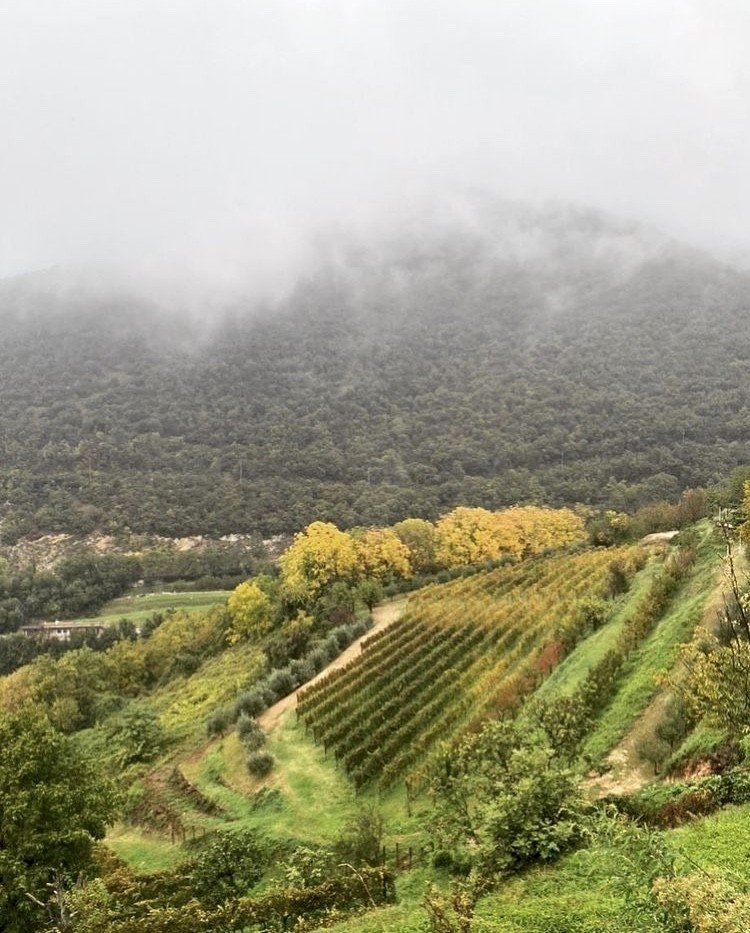 Quattrocento 40 Lune Extra Brut