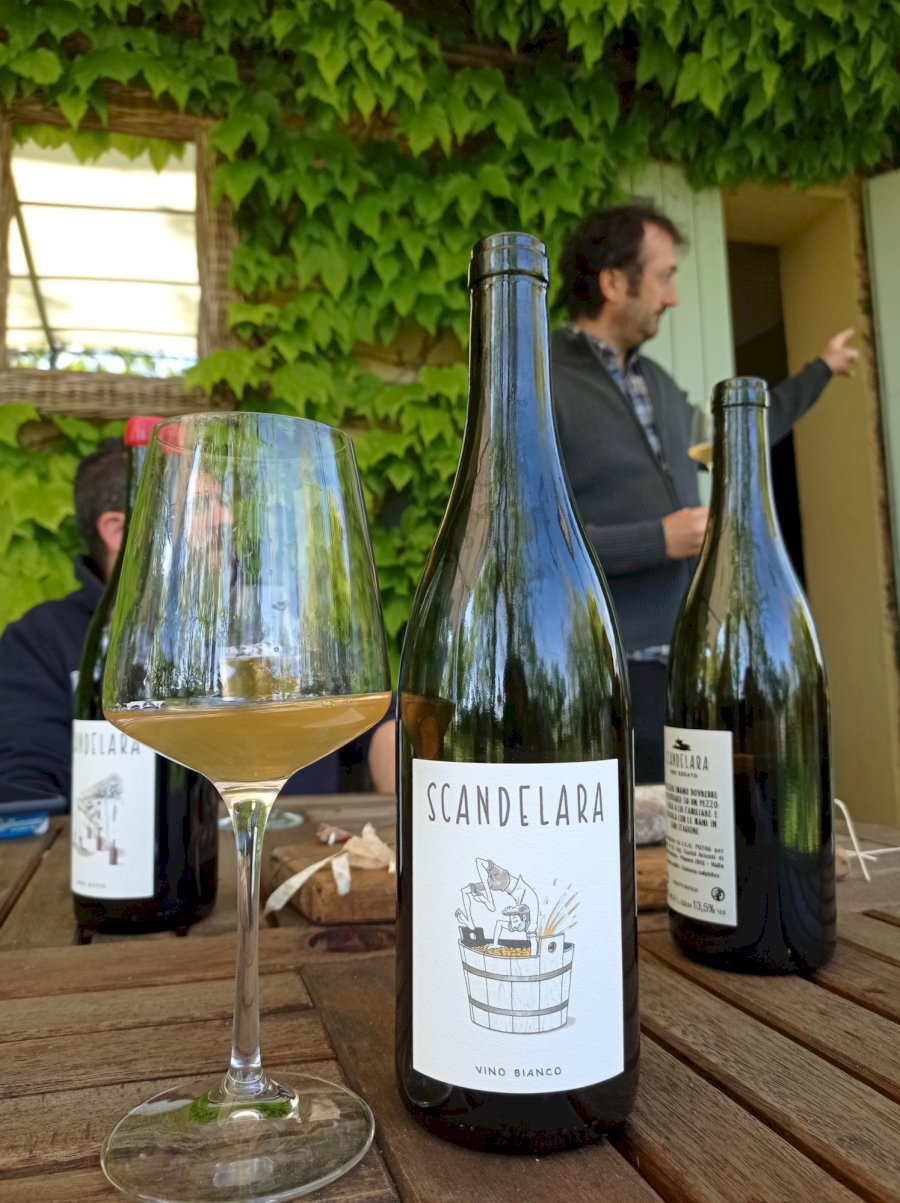 Scandelara Bianco 2022 Vino Bianco