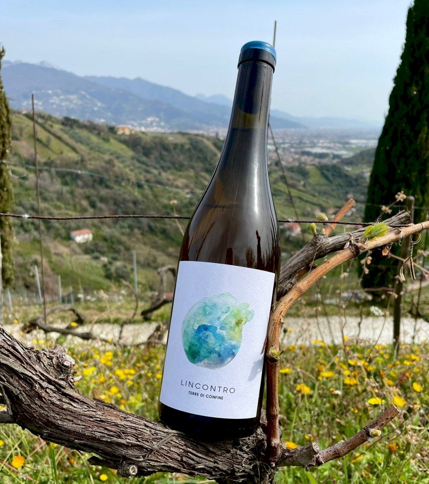 Lincontro 2023 Vino Bianco