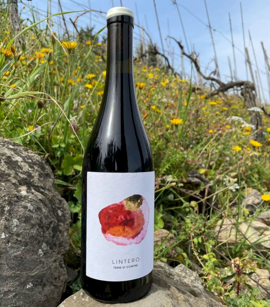 Lintero 2023 Vino Rosso