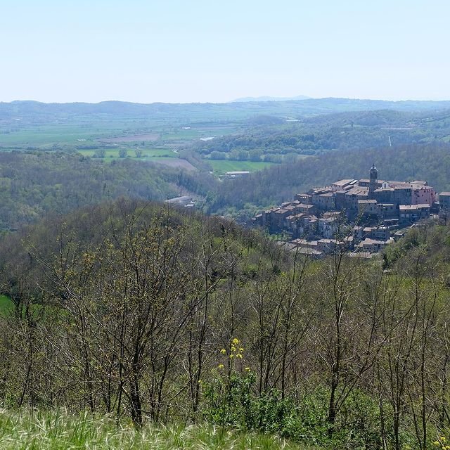 Cantina Ortaccio