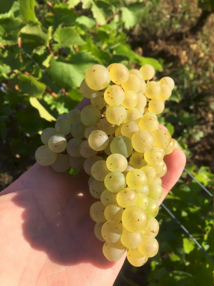 Domaine de La Loue