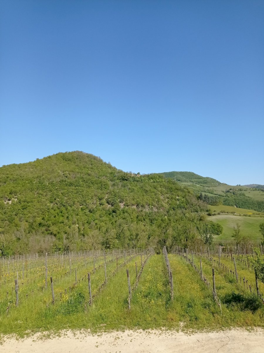 Al di là del Fiume