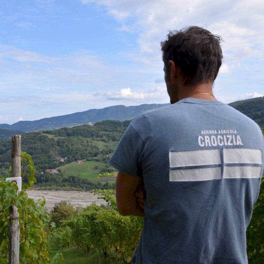 Crocizia