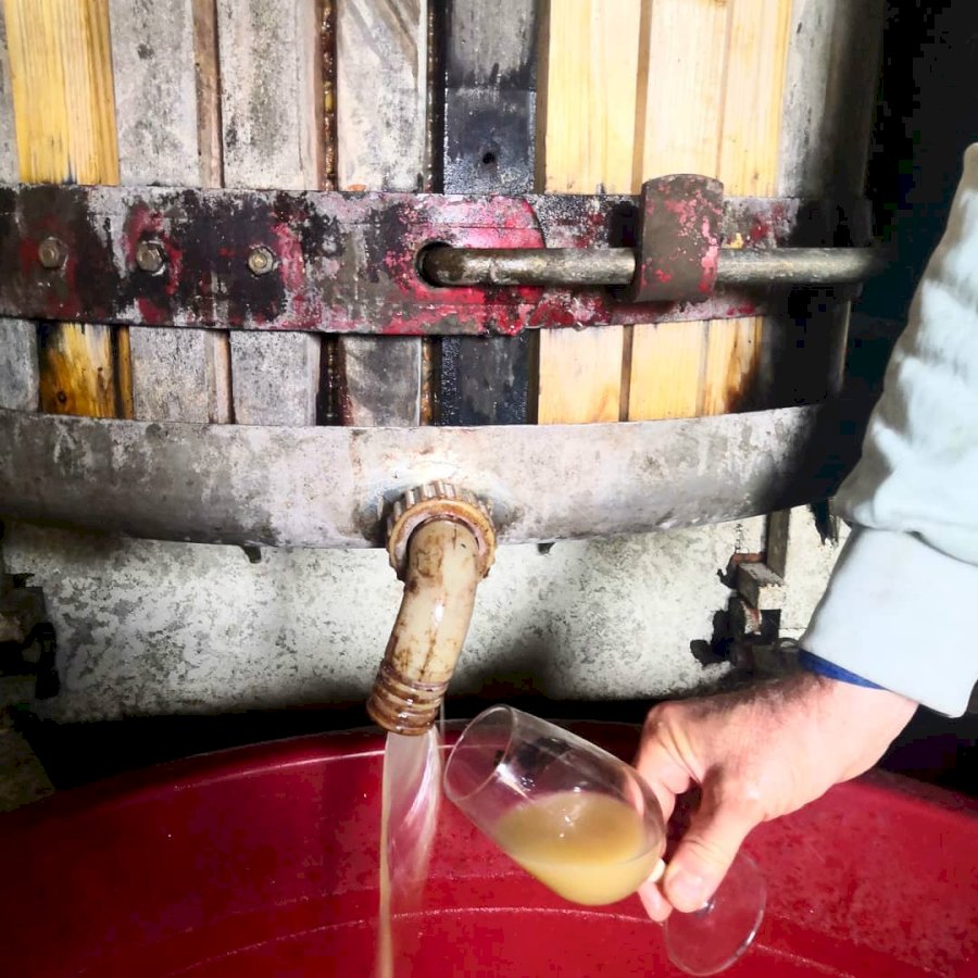 Podere Veneri Vecchio