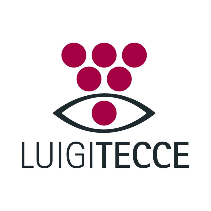 Luigi Tecce