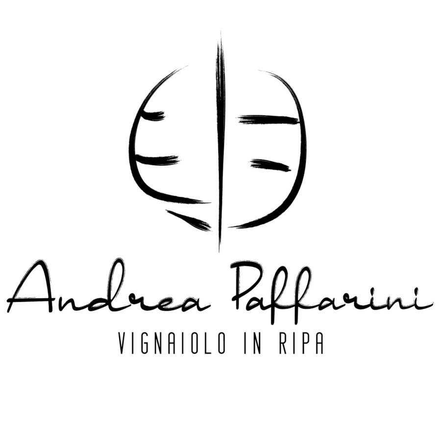 Andrea Paffarini