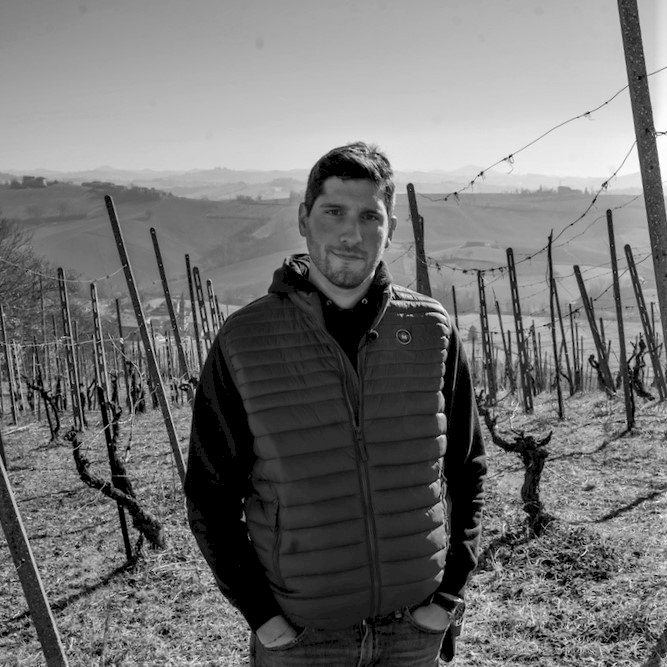 Ida 2021 Vino Bianco