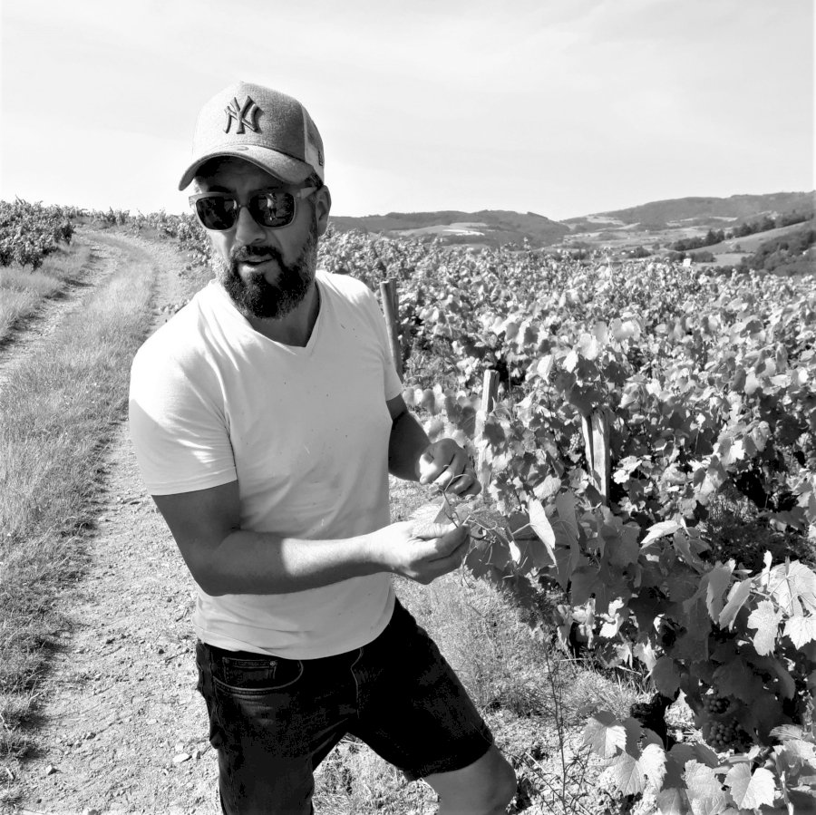 Domaine de la Cure