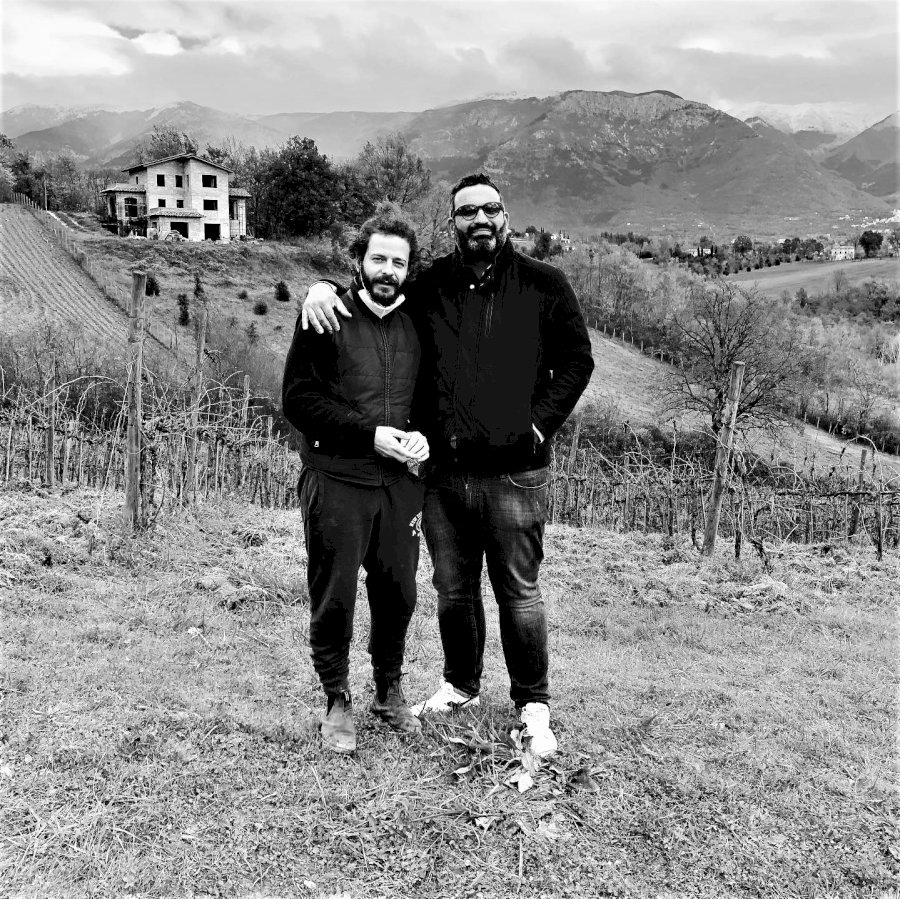 Sam Illon Vino Bianco