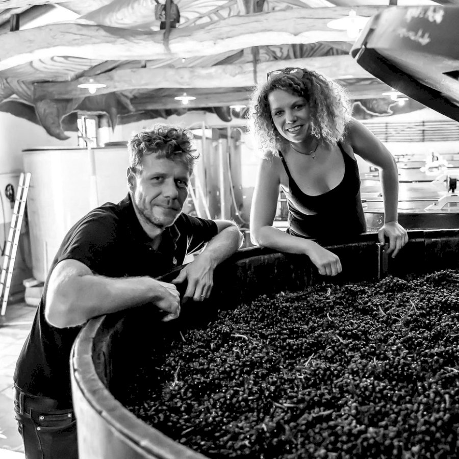 Domaine Marcel Lapierre
