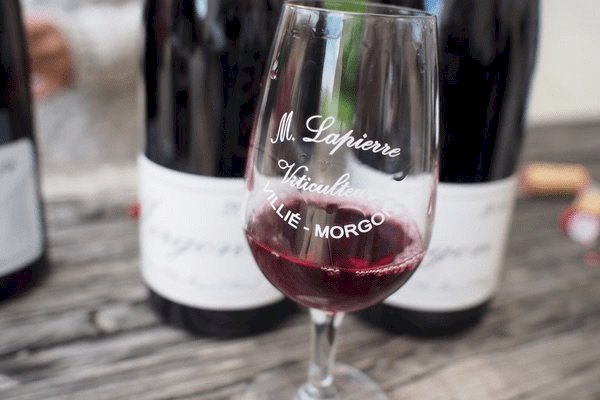 Domaine Marcel Lapierre