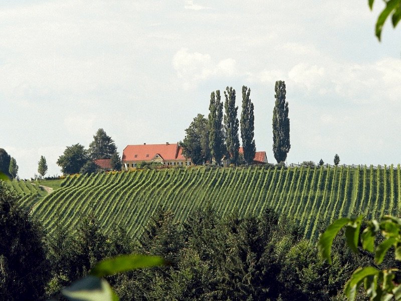 Herrenhof Lamprecht