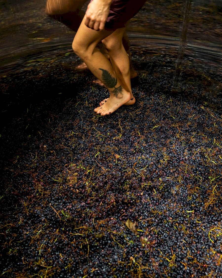 Tenuta Saiano