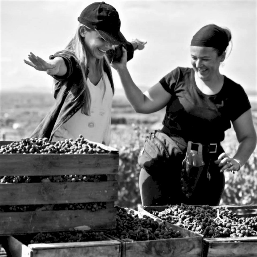 Antichi Vigneti Manca