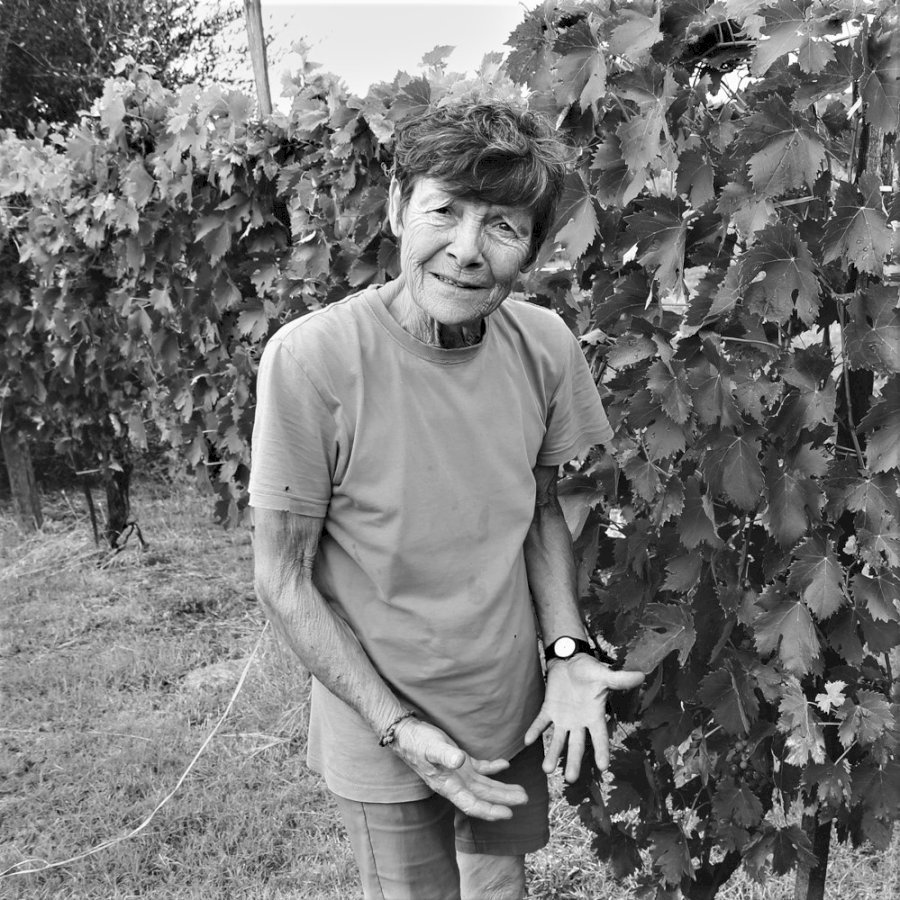 Poderi Sanguineto
