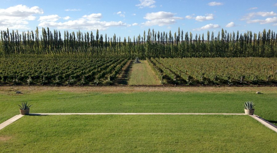 Bodega Chacra