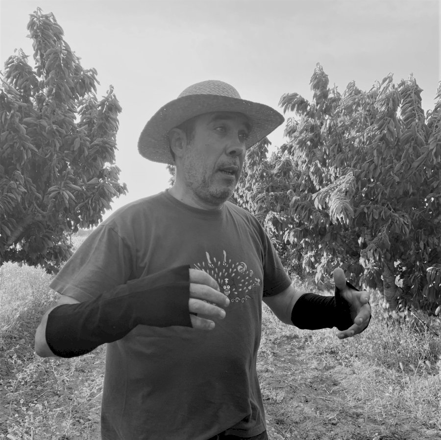 Laureano Serres