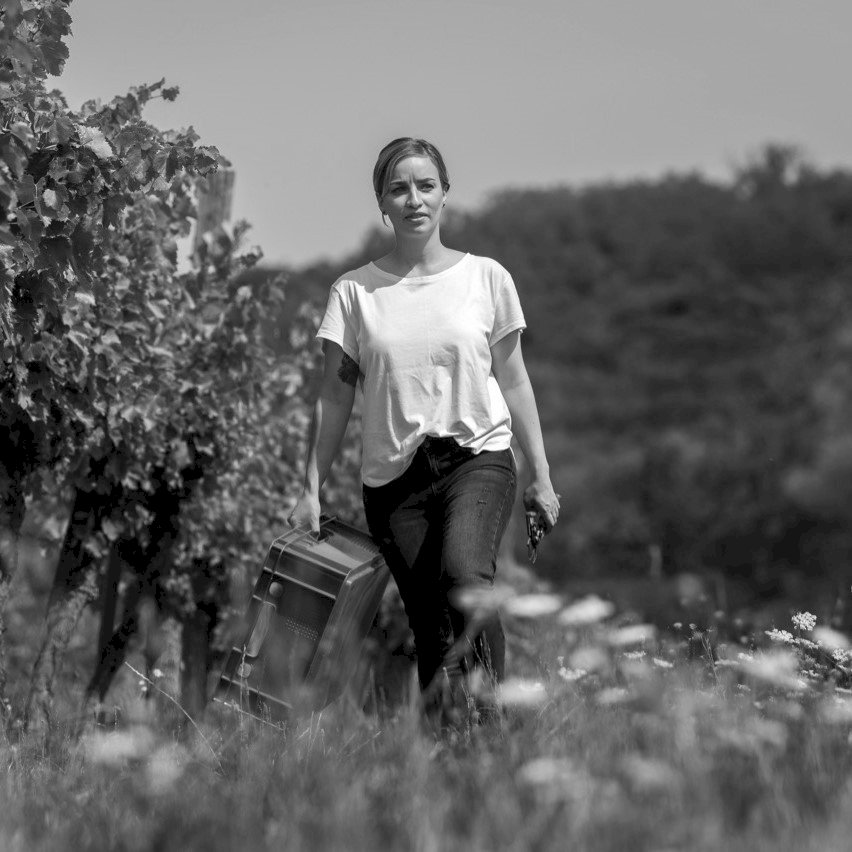 Eastern Accents 2022 Vino Bianco